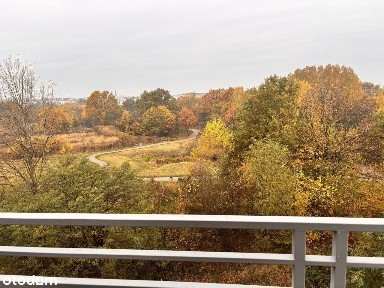 ul. Mglista, Krzyki, Wrocław, dolnośląskie