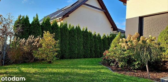 dom wolnostojący z ogrodem, Pomorzany