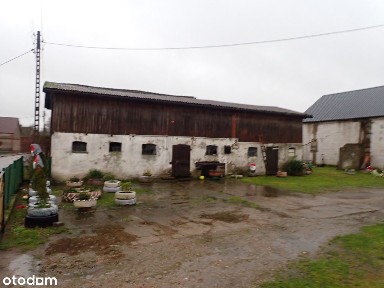Licytacja: dom z działkami w Bagnach