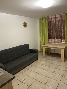 Mieszkanie jednopokojowe za 1200 od 1 grudnia