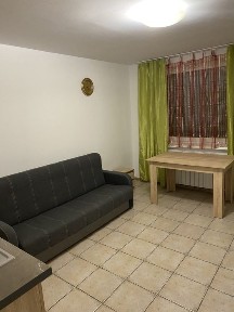 Mieszkanie jednopokojowe za 1200 od 1 grudnia