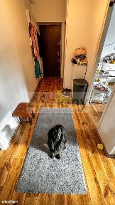 Idealnie ciche, cegła, księga wieczysta