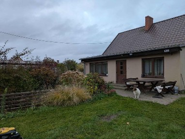 Dom wolnostojący z działką i lasem, Borki k. Lotynia