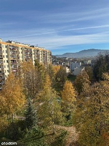 Biała Śródmieście, Bielsko-Biała, śląskie