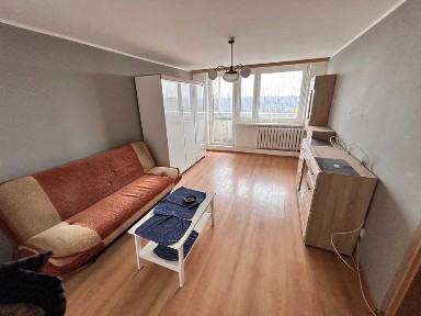 widok na Park Śląski | 2 pokoje | Ułańska 5, Tysiąclecia - Katowice