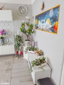 ul. Olsztyńska, Osiedle Nad Potokiem, Radom, mazowieckie