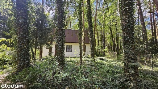 Dom rekreacyjny do remontu w Sokolnikach