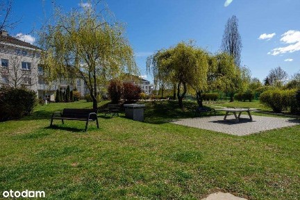 Apartament, 3 pokoje, odnowiony, miejsce postojowe, komórka lokatorska