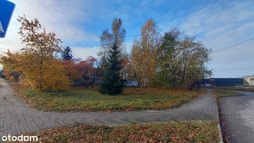 DOM, siedlisko działka 3200m2