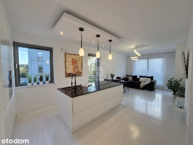 Ogrody Hallera, Balkon,Winda, Małe zwierzęta Tak