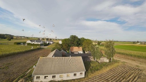 Siedlisko z zabudowaniami