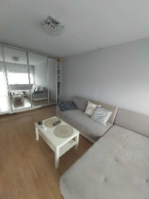 Kawalerka do wynajęcia