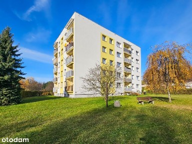 Po generalnym remoncie z umelowaniem + balkon !