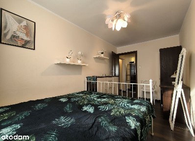 al. Aleja Wyzwolenia, Północ, Częstochowa, śląskie