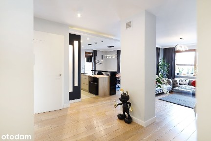 Błonia Wilanowskie, Wilanów, Warszawa, mazowieckie