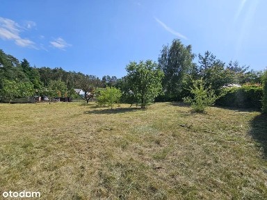 Dom 130m2 wraz dzialką 1700m2 z dużym potencjalem 10 km od Szczecina