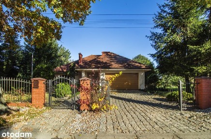 Dom z basenem pod palmą