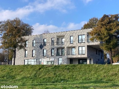 Lokal usługowy do wynajęcia