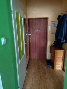 Kawalerka na Mickiewicza