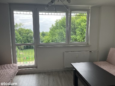 Sprzedam mieszkanie Zabrze - Grzybowice