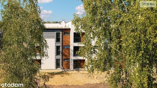 Wodzisław Śląski, wodzisławski, śląskie