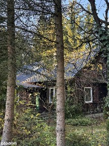 Piękny dom letni wśród lasów, nad rzeką