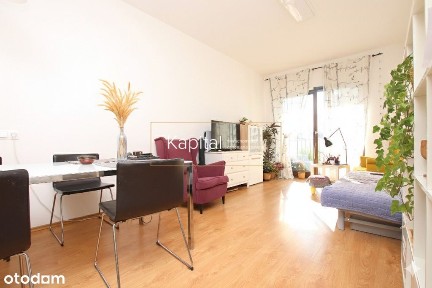 Borek, obok Parku, Garaż, Komórka Lokatorska