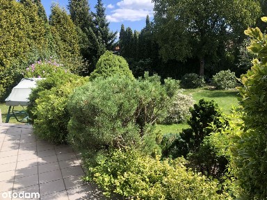 Jedyny taki w okolicy komfortowy dom - gotowy do zamieszkania!