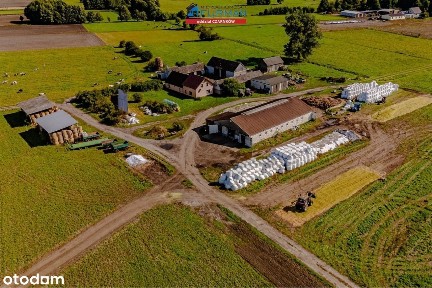 Dom, 180 m², Wrzeszczyna