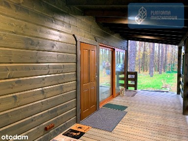 Nowy/Prywatny Raj nad Bugiem i Liwcem/Las