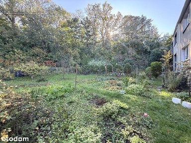 Podjuchy dom 5 pok +garaż, Widok na Puszczę Bukową