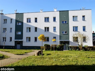 Mieszkanie - Złocieniec