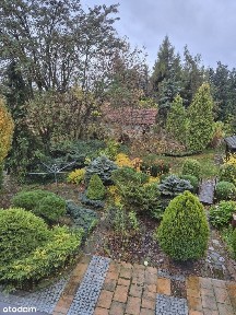 Komfortowy dom rezydencjonalny z basenem i ogrodem 275 m²