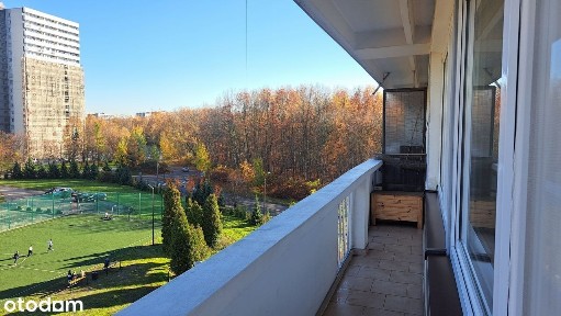 Osiedle Tysiąclecia, Katowice, śląskie