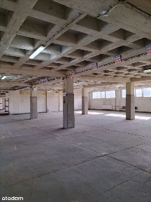 ul. Ptasia, Pogoń, Sosnowiec, śląskie