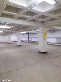 Ptasia, Pogoń, Sosnowiec, śląskie