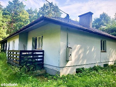 Twój zielony azyl nad wodą w Sulejowie!