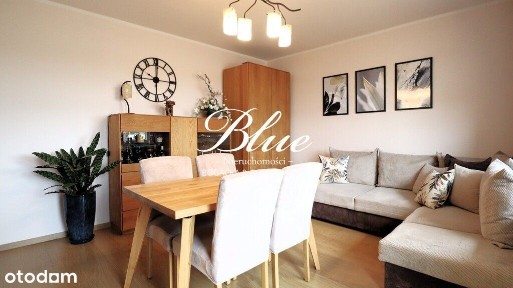 Pogodno, Zachód, Szczecin, zachodniopomorskie