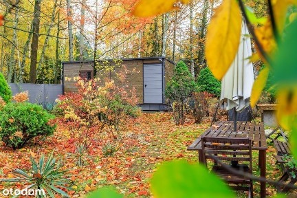 Janinów, Grodzisk Mazowiecki, grodziski, mazowieckie