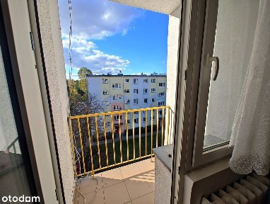 ul. Wileńska, Karolew, Polesie, Łódź, łódzkie