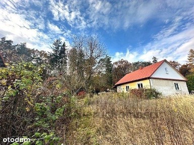 Na odludziu- dom pod lasem