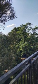 Małopolskie, Kraków, Zwierzyniec