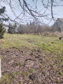 Dom okolice Złotnik Kujawskich z dwiema działkami za 100 000zł