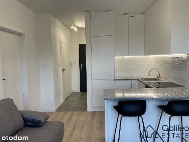 ul. Ogrodowa, Stare Polesie, Polesie, Łódź, łódzkie