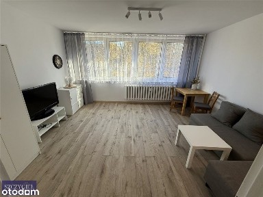 Chorzów - ładna kawalerka do wynajęcia!