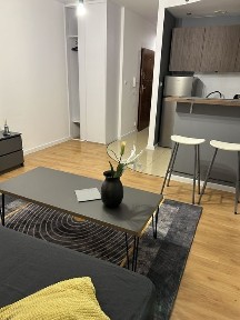 Mieszkanie do wynajecia