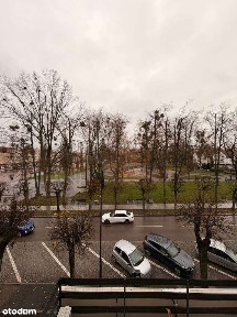 Mieszkanie 2-pokojowe, kawalerka, Centrum, widok na park