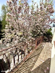 Moktów przy metrze Wilanowska.