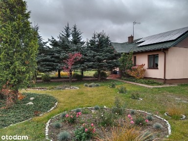 Dom z pięknym, zadbanym ogrodem