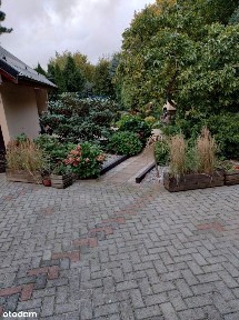 ul. Lipowa, Lębork, lęborski, pomorskie